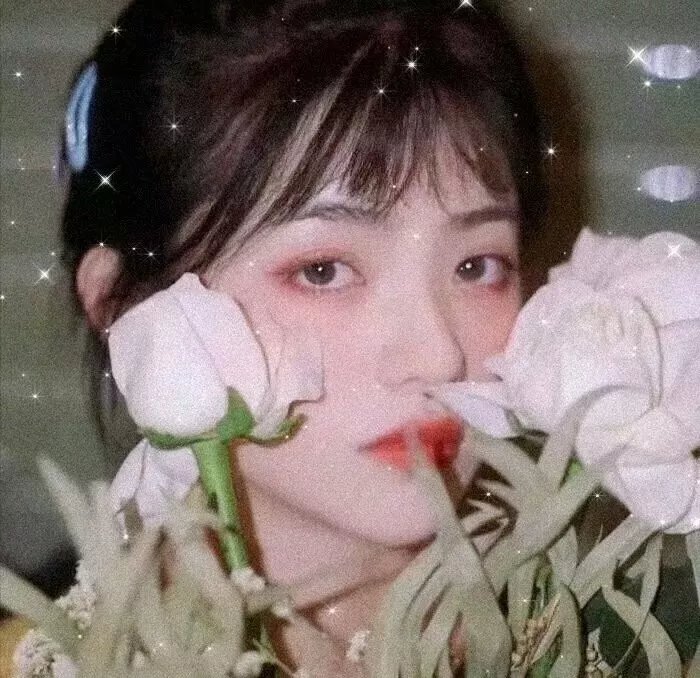命运小说家